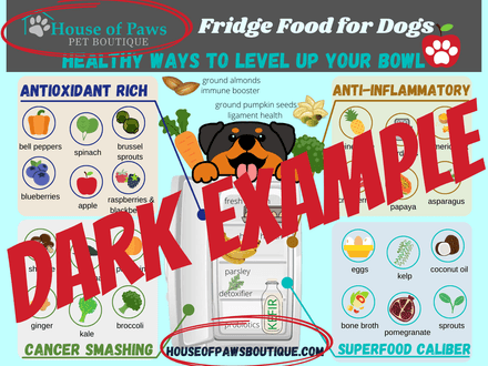 Fridge Foods for Dogs Magnet