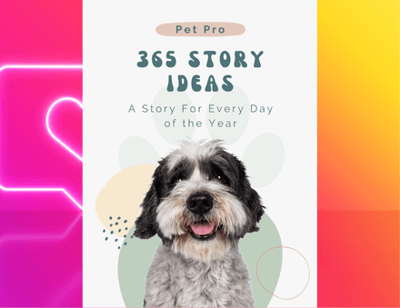 365 Story Ideas E-book