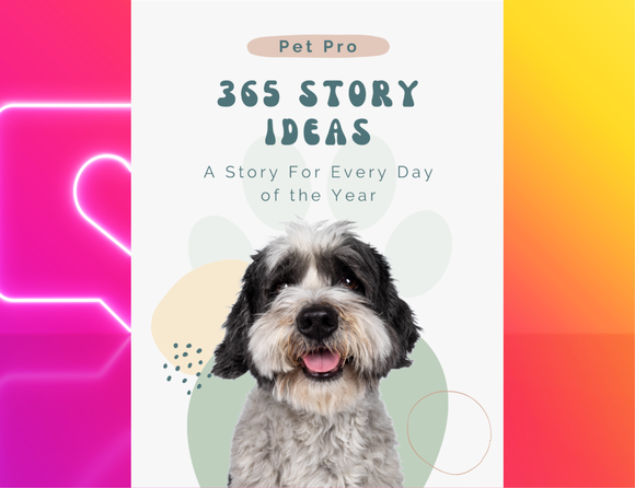 365 Story Ideas E-book