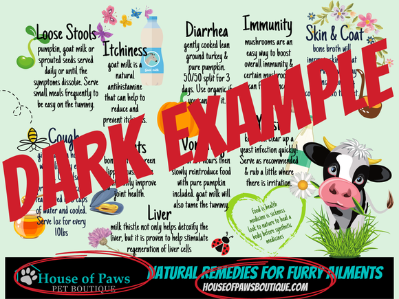 Natural Remedies for Furry Ailments Magnet