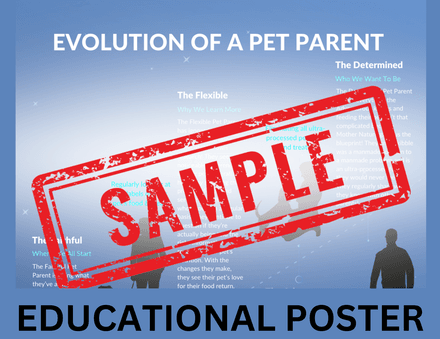 Evolution of a Pet Parent Educational Poster