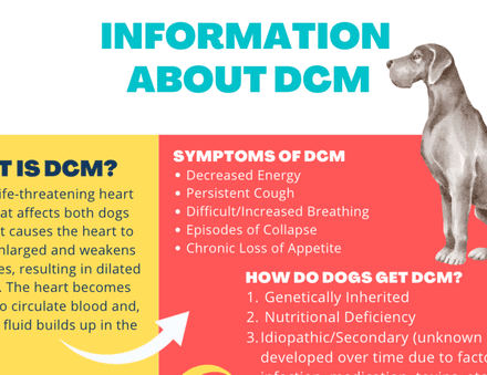 DCM Infographic