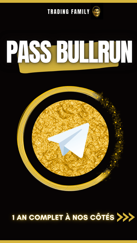 PASS BULLRUN - 1 an pour changer de vie (offre limitée)