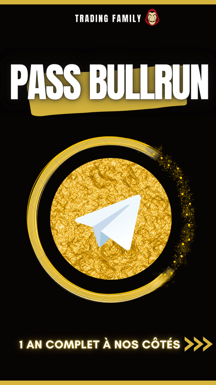 PASS BULLRUN - 1 an pour changer de vie (offre limitée)
