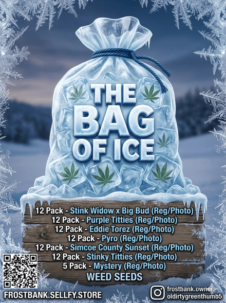 The Bag Of Ice