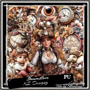KZ-SteamLove