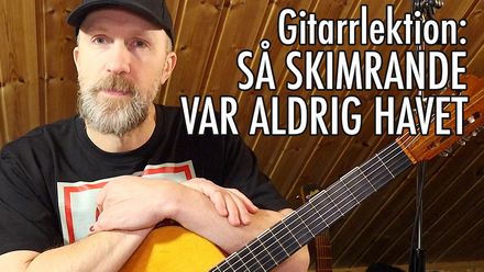 Så skimrande var aldrig havet TABS / NOTER