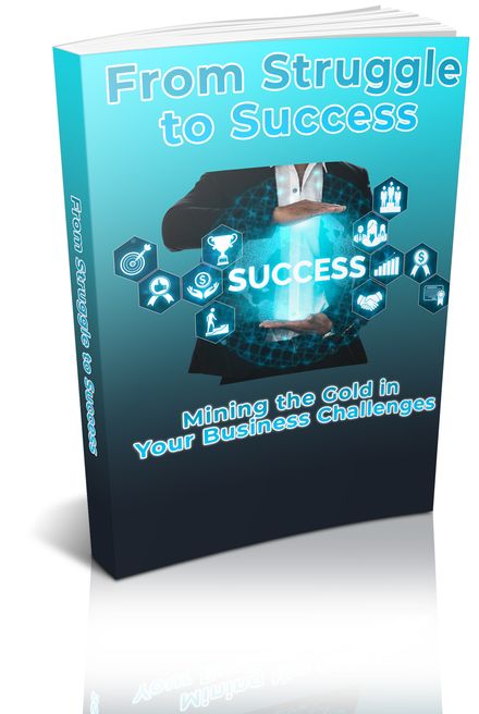 From Struggle to Success With PLR