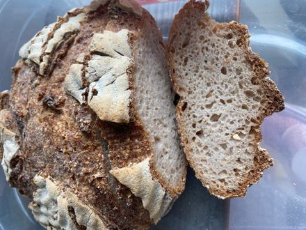 Classic Gluten Free Sourdough Bread