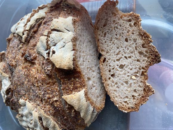 Classic Gluten Free Sourdough Bread
