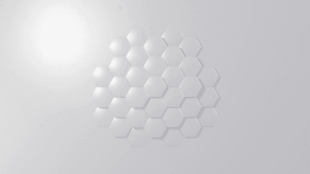 Transition - White Hexagon