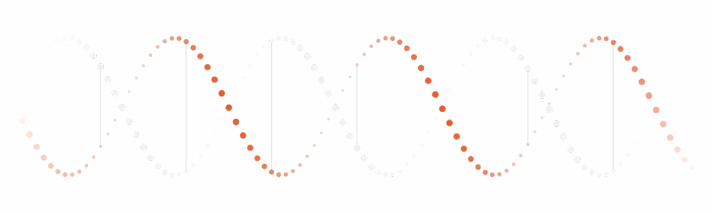 FLIP live DNA visualization