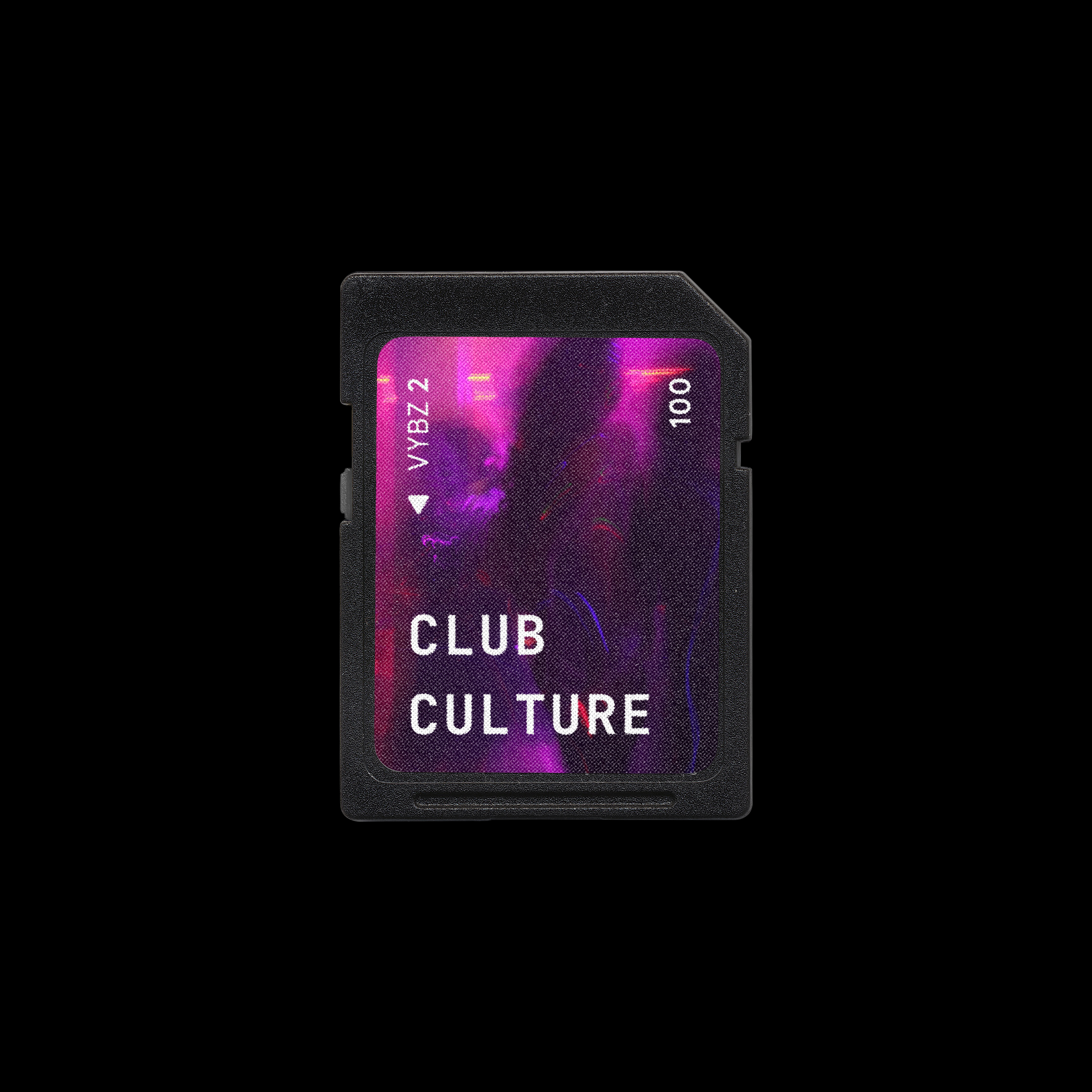 VYBZ 2 Club Culture expansion - 100 House, Techno & Dance presets
