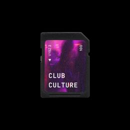 VYBZ 2 Expansion: Club Culture - 100 House, Techno &amp; Dance Presets