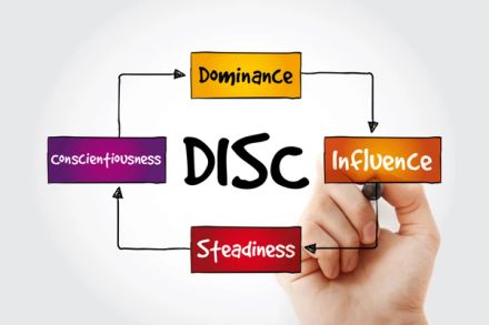 Concise Adult DISC