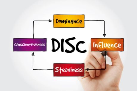 Concise Adult DISC