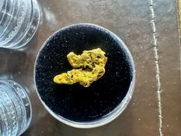 #44. 1Gram