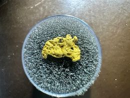 #31 .7Gram