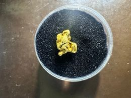 #30 .7 Gram