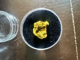 #37 1.6 Gram