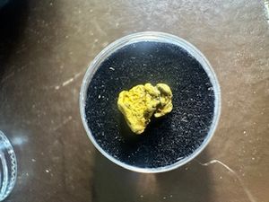 #33 1Gram