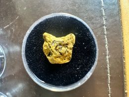 #49 1.9 Gram