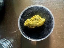 #36 3.7 Gram