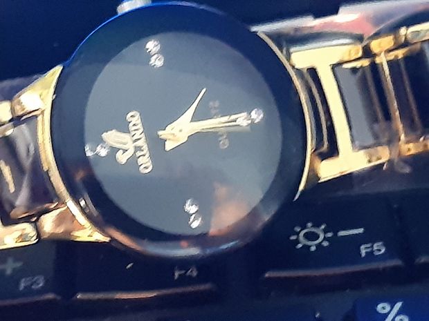 wonderful orlando ladies watch