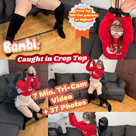 Bambi Caught #4 - Crop Top