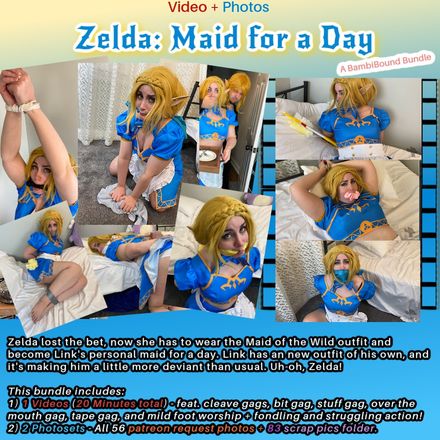 Zelda: Maid for a Day