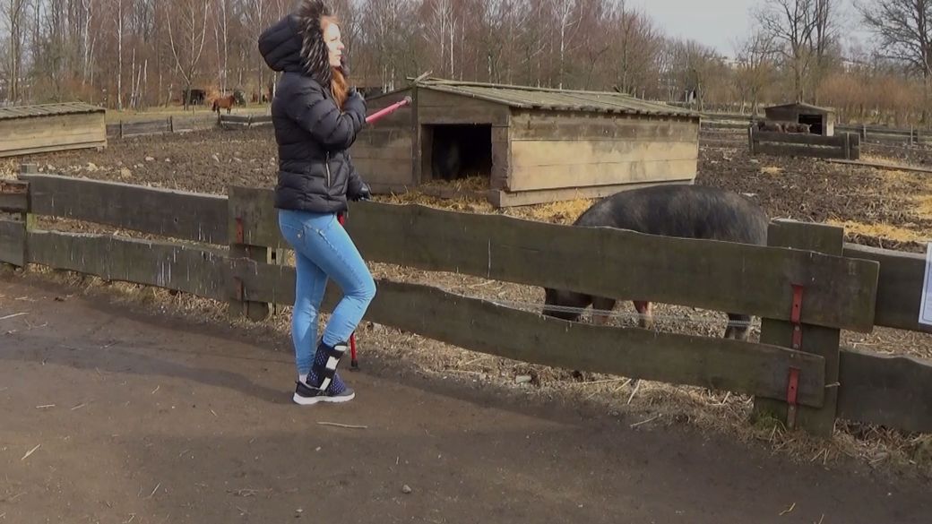 Ice 1804-5 Sock Sprain - Look at this old house - 11 min