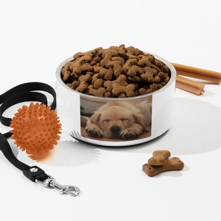 Pet Bowl