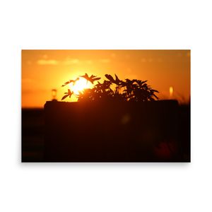 Enhanced Matte Paper Poster of Kansas Sunrise