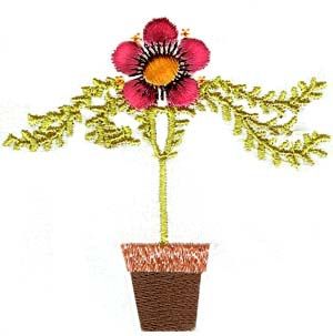 Pots O&#x27; Flowers