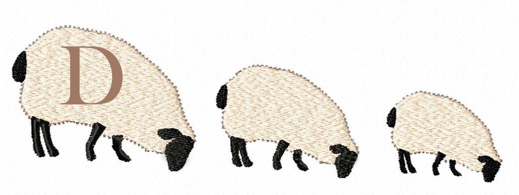 Sheepish  D