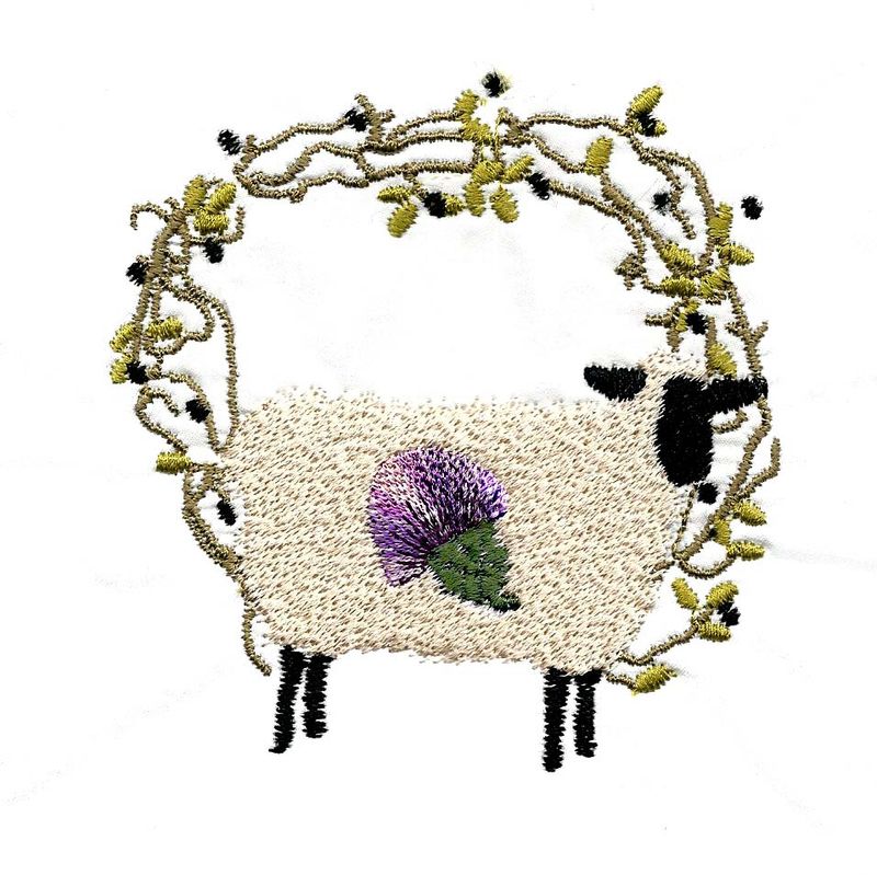 British Sheep