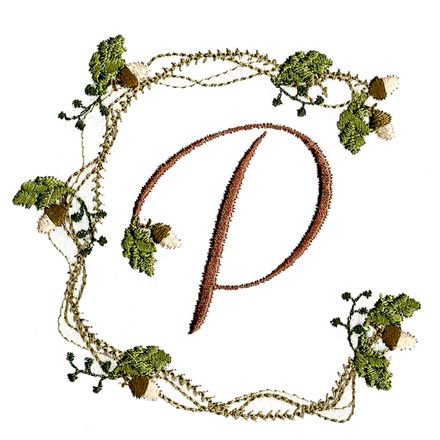 Acorn Font