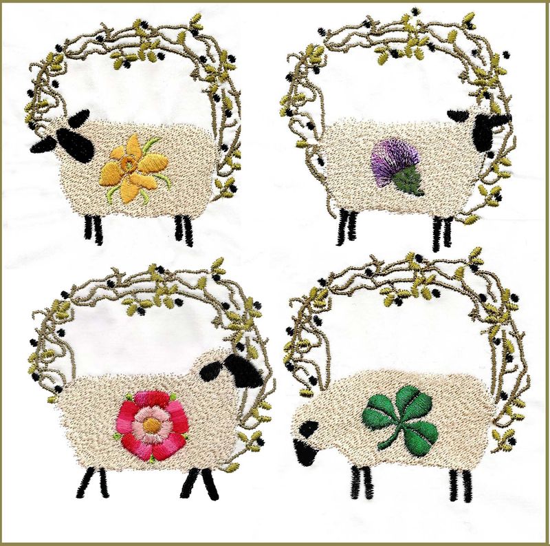 British Sheep