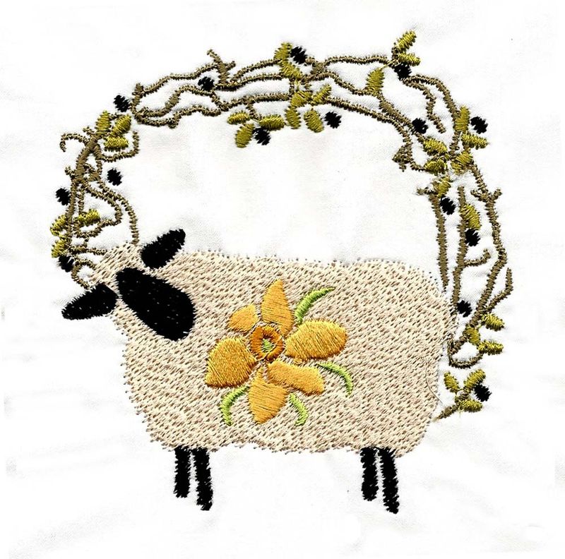 British Sheep