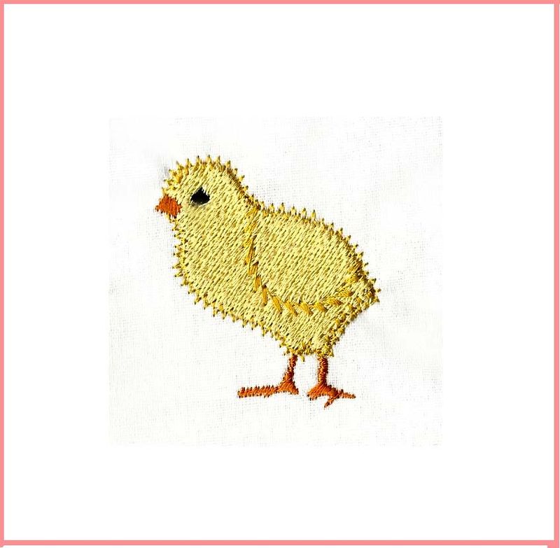 Chick C
