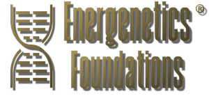 Energenetics® Foundations
