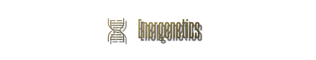 Energenetics Intro - 1on1 [2 sessions]