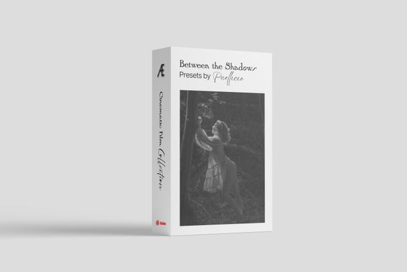 Between the Shadows: 10 Lightroom Presets