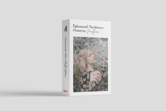 Ephemeral Narratives: 5 Cinematic Film Lightroom Presets