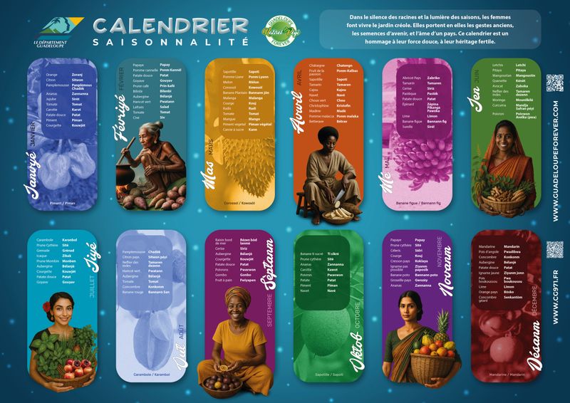 Calendrier de saisonnalité Guadeloupe Martinique 