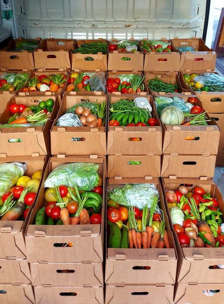 Dons paniers et jardins créoles solidaires