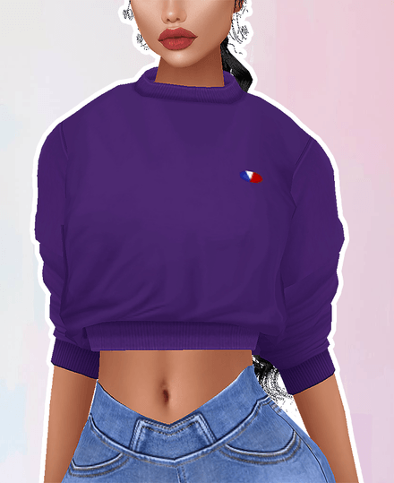 MESH - Baggy Crop
