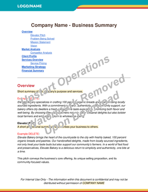 Business Summary Template