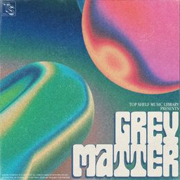 TSML Vol. 22 - Grey Matter