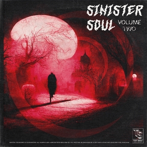 TSML Vol. 21 - Sinister Soul Vol. 2